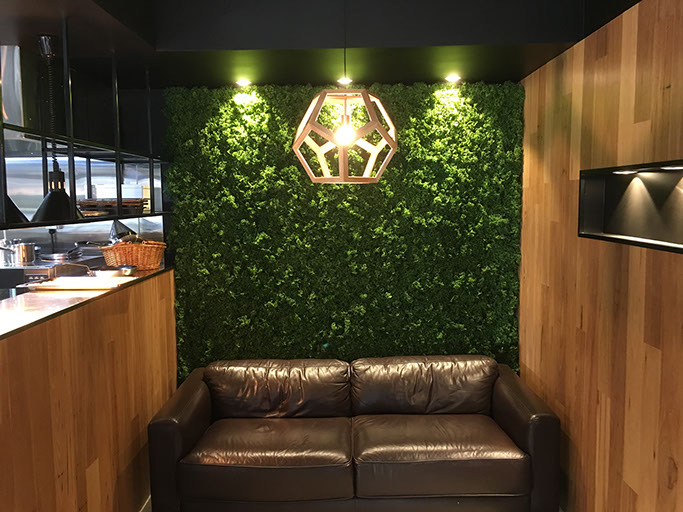 Company Logo Toto's Pizza House franchise