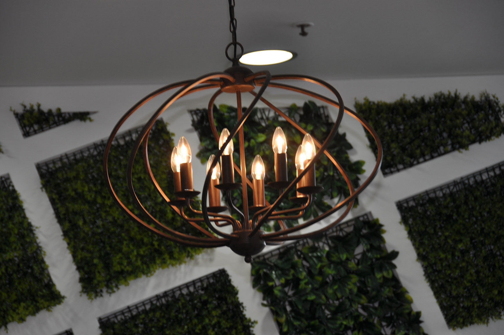 Logo design Boost Juice Bars