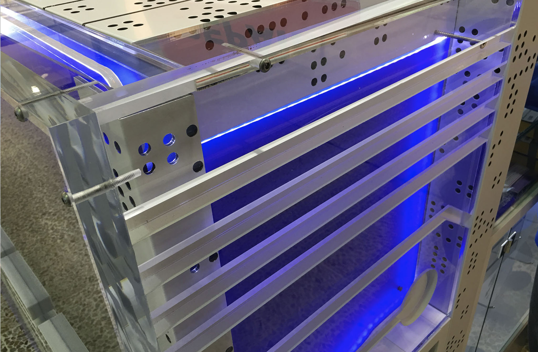 Logo design Boost Juice Bars