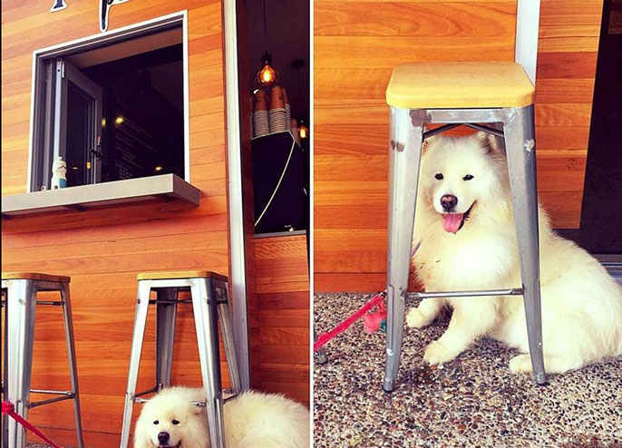 Yumbar retail store design