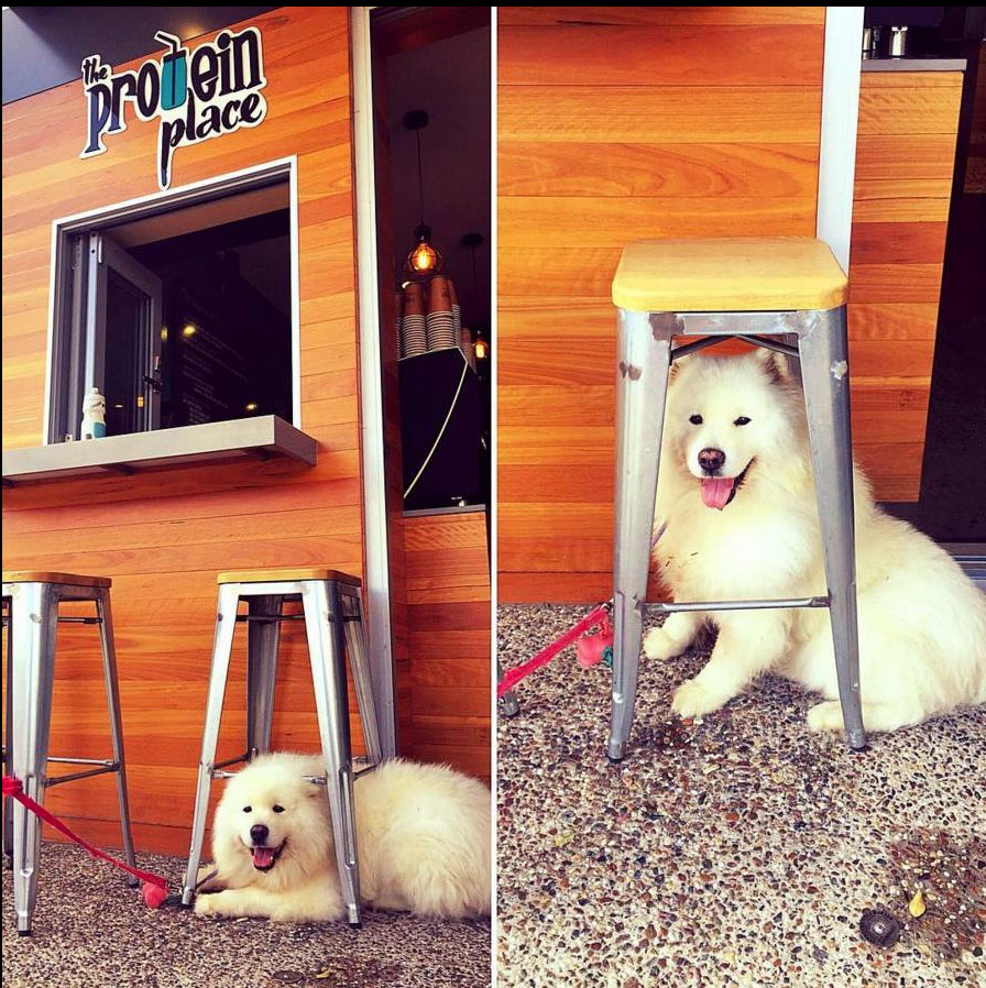 Logo design Boost Juice Bars